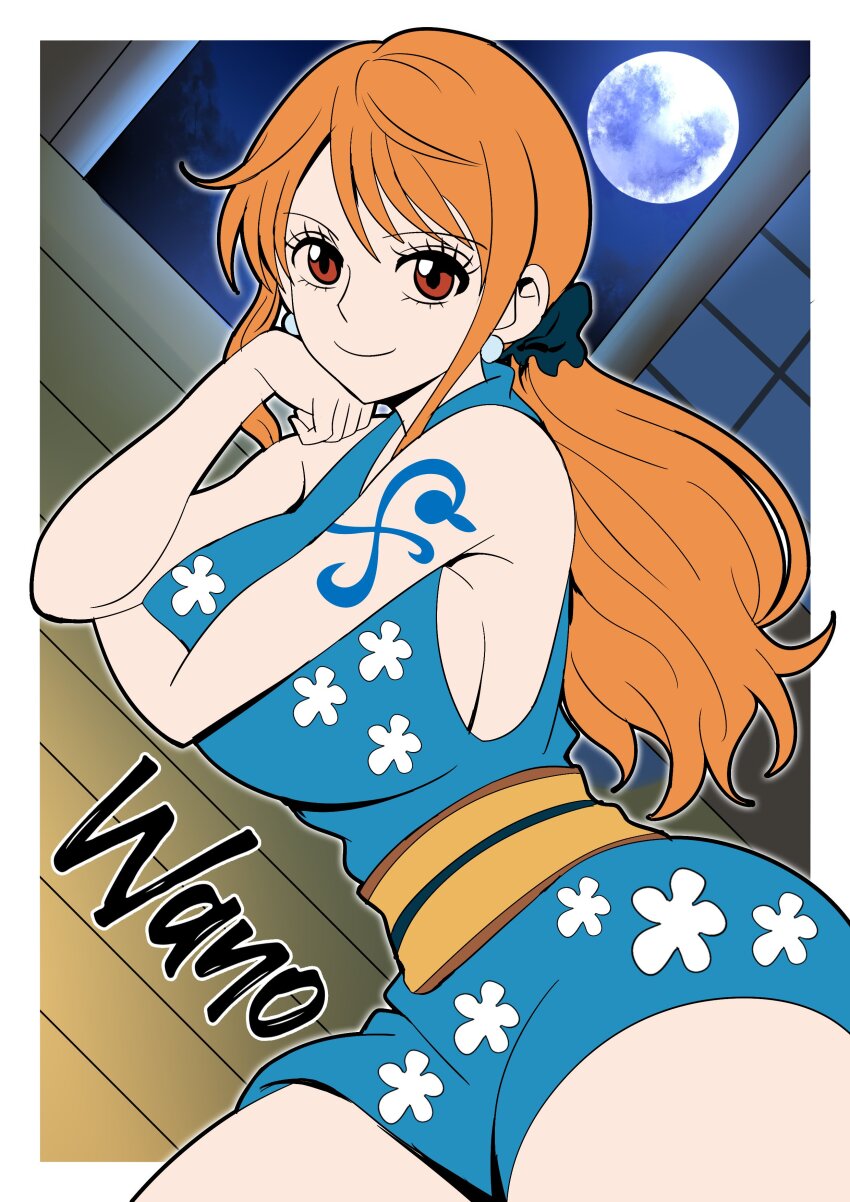 Nami (One Piece) Rule 34 Image