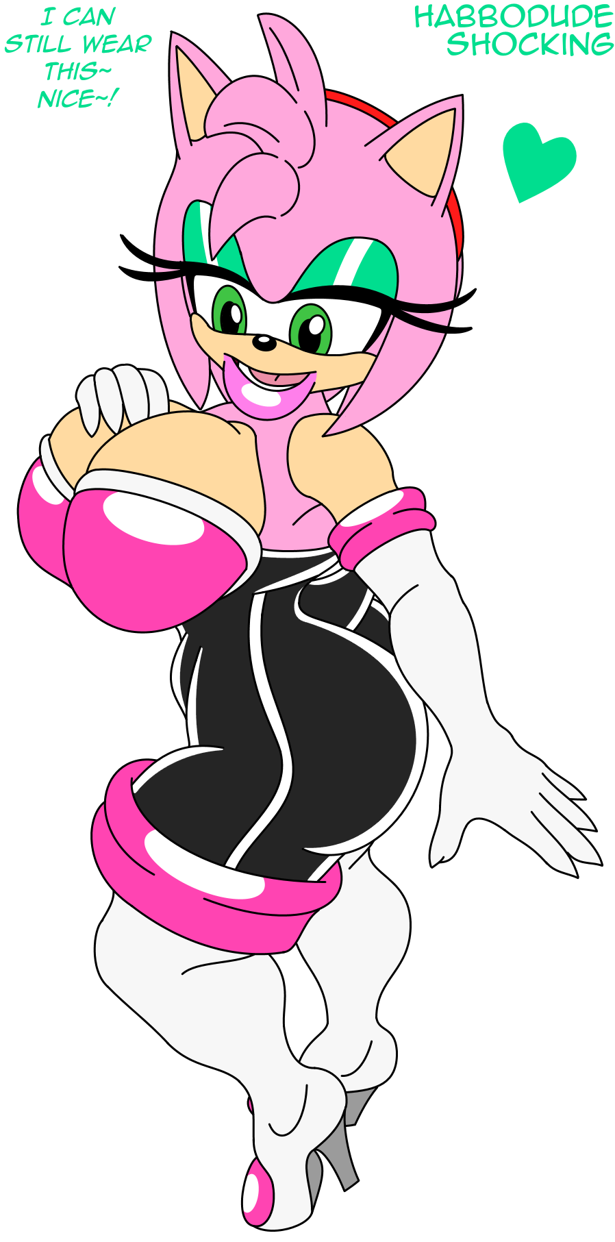 Amy Rose (Sonic (Series)) Rule 34 Image