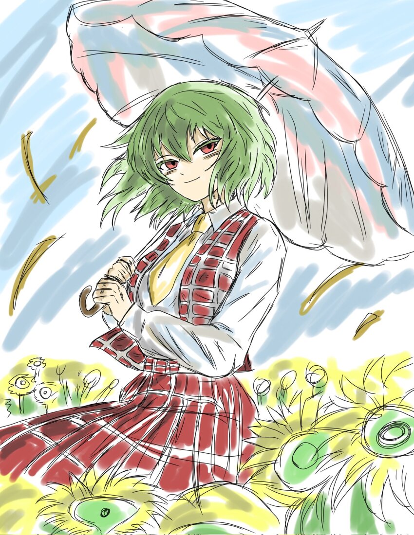 Kazami Yuuka (Touhou) Rule 34 Image