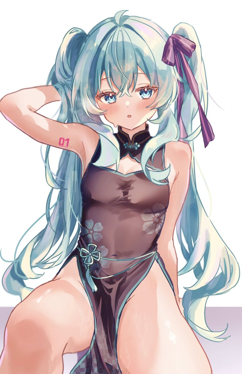 Hatsune Miku (Vocaloid) Rule 34 Image