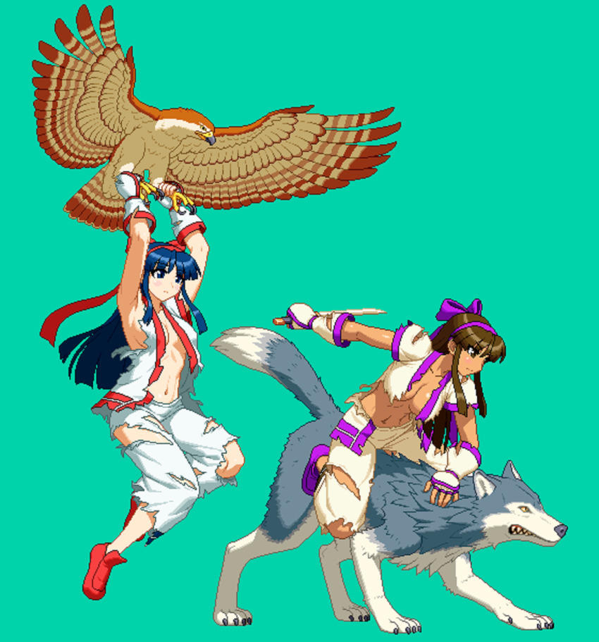 Murasaki Nakoruru (Samurai Spirits) Rule 34 Image