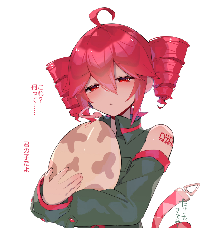 Kasane Teto (Utau) Rule 34 Image