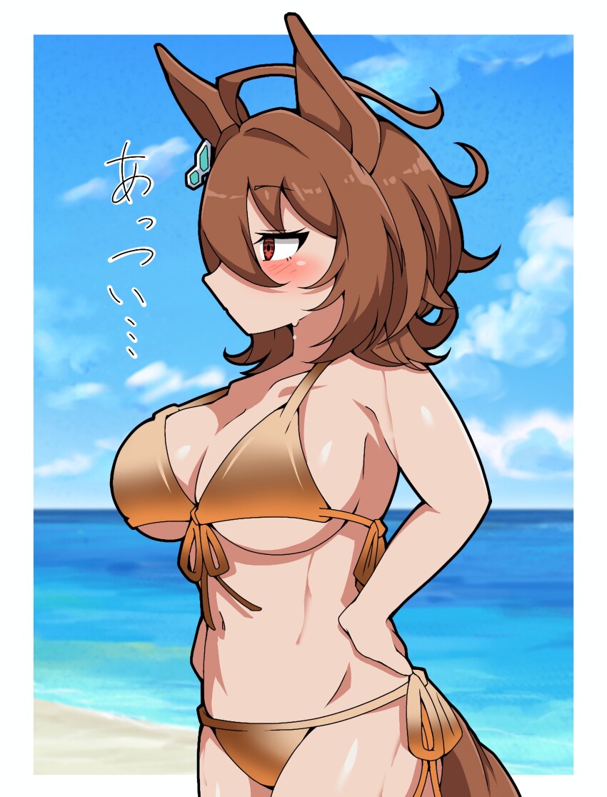 Agnes Tachyon (Umamusume) Rule 34 Image