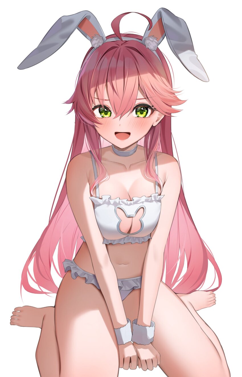 Sakura Miko (Hololive) Rule 34 Image