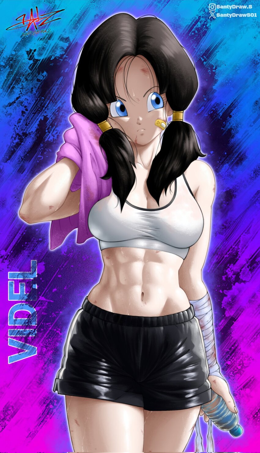 Videl (Dragon Ball) Rule 34 Image