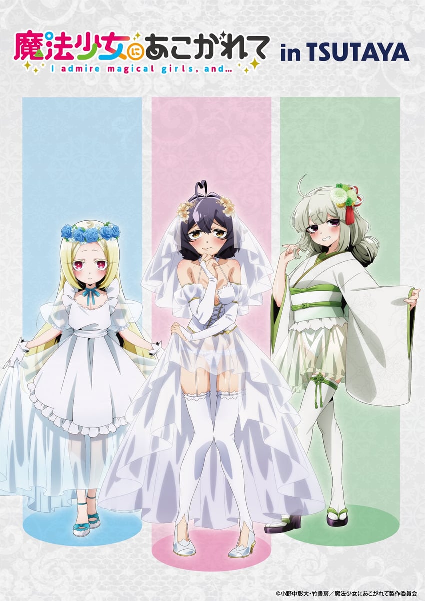 Araga Kiwi (Mahou Shoujo Ni Akogarete) Rule 34 Image