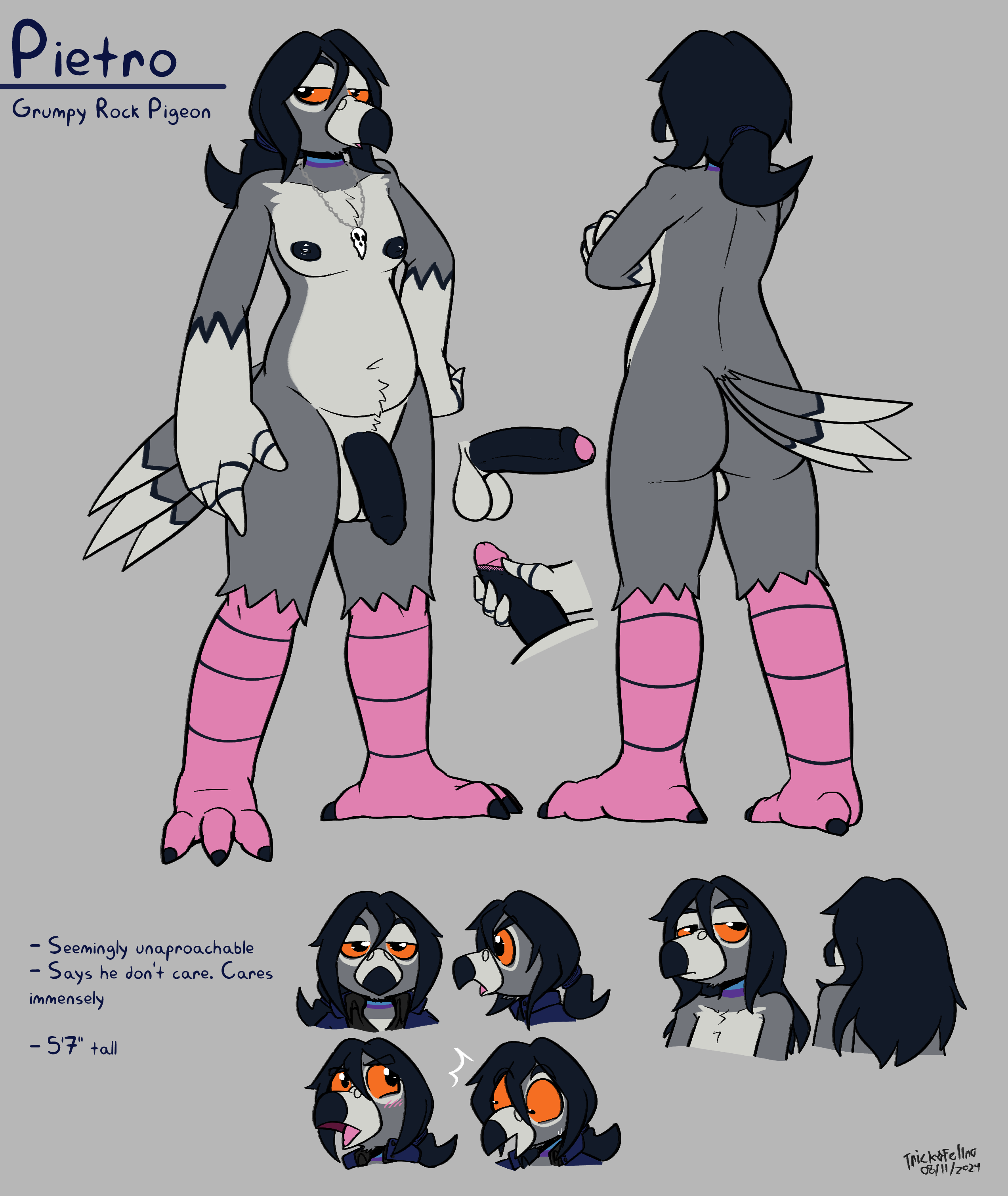 Pietro (Felino) Rule 34 Image