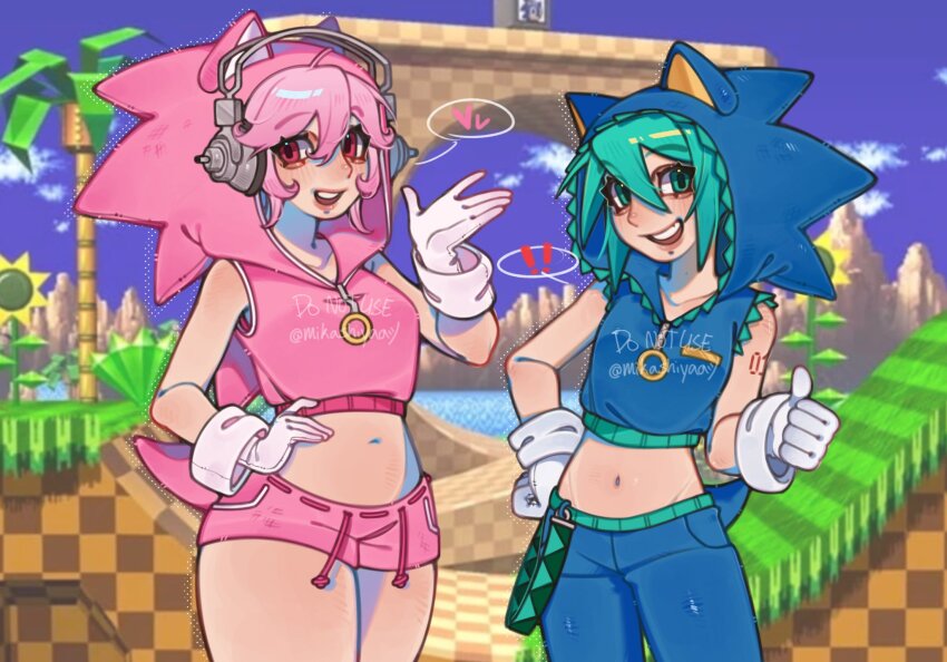Amy Rose (Nitroplus) Rule 34 Image