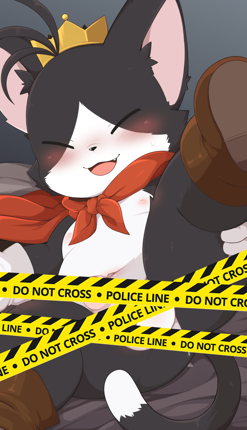 Final Fantasy Rule 34 Image