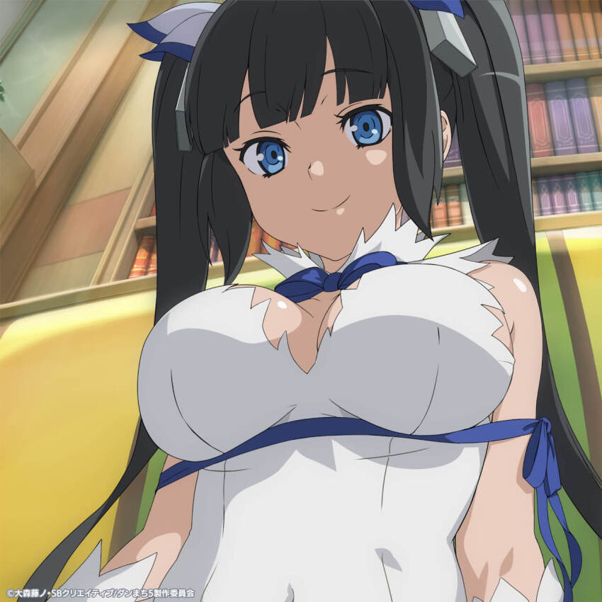Hestia (Danmachi) Rule 34 Image
