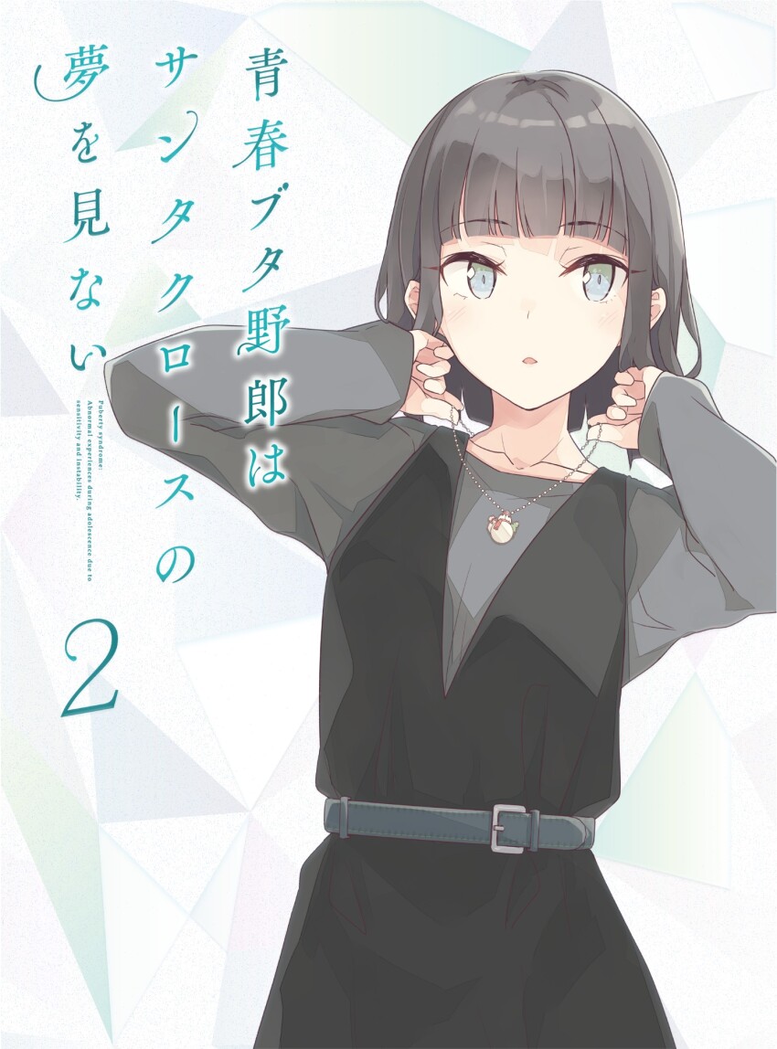 Seishun Buta Yarou Rule 34 Image