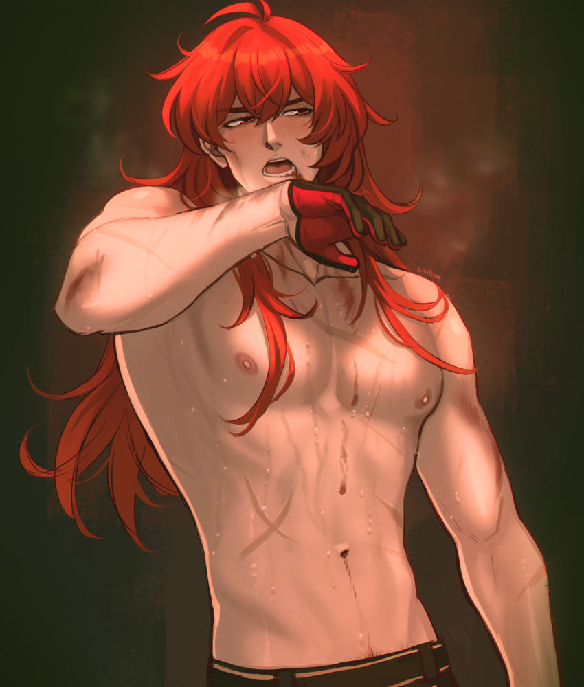 Diluc (Genshin Impact) Rule 34 Image