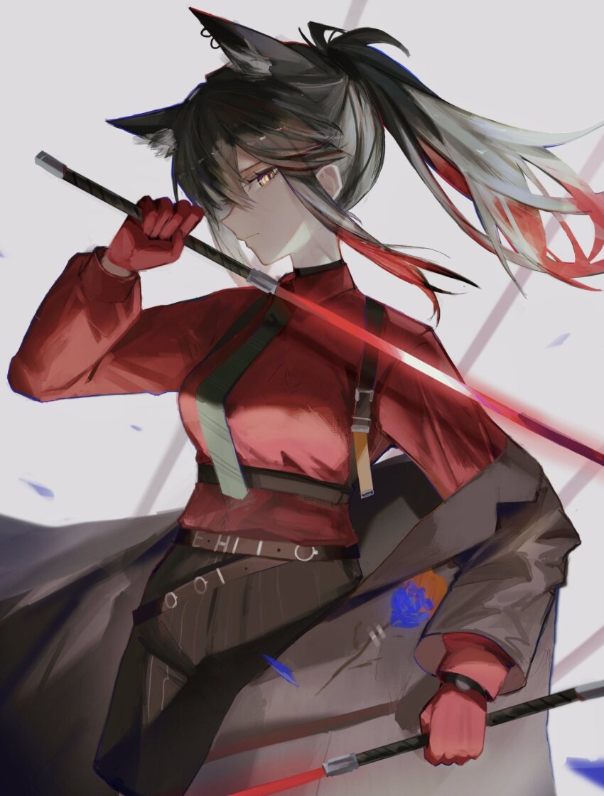 Texas (Arknights) Rule 34 Image