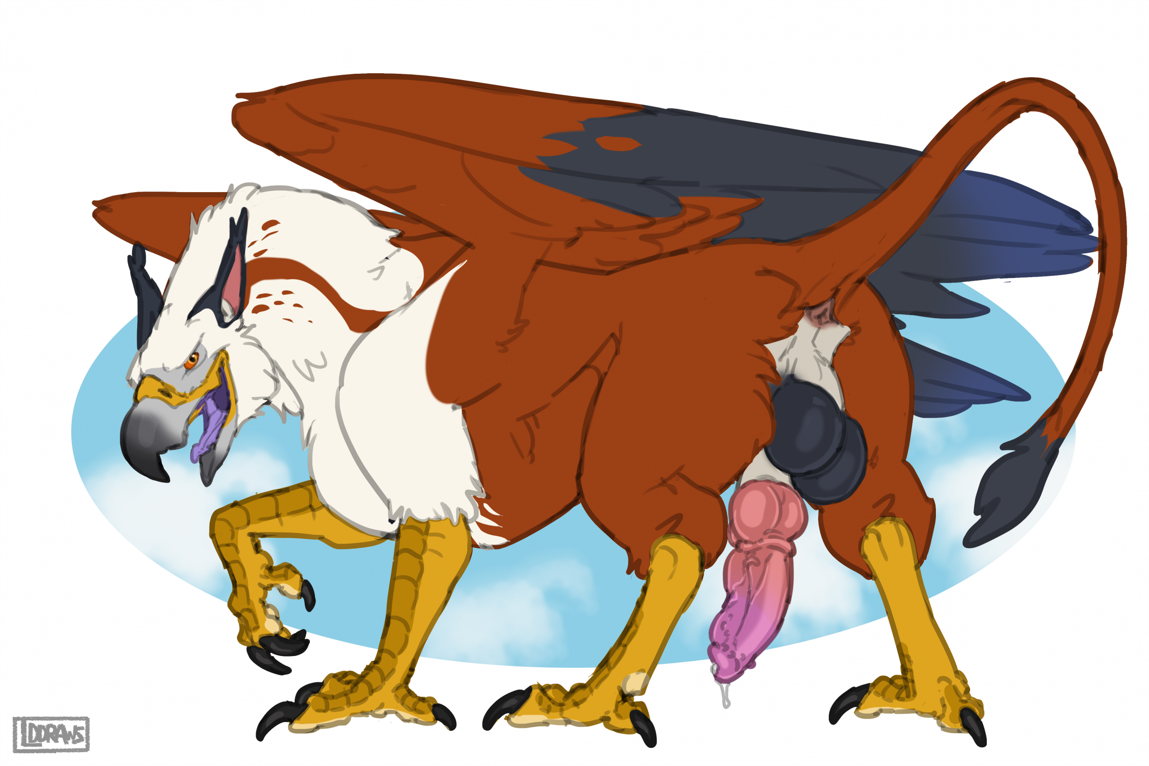 Anus Rule 34 Image
