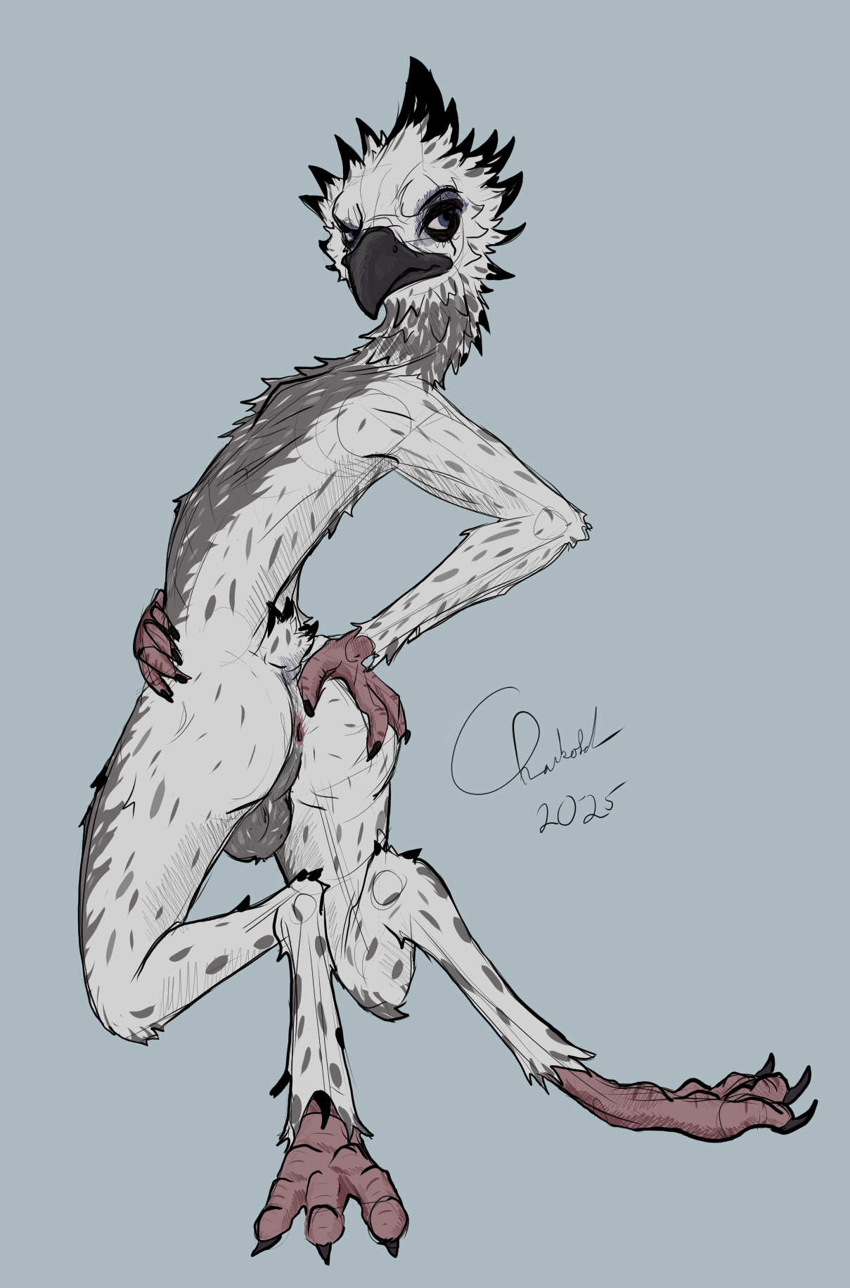 Aurelian (Species) Rule 34 Image