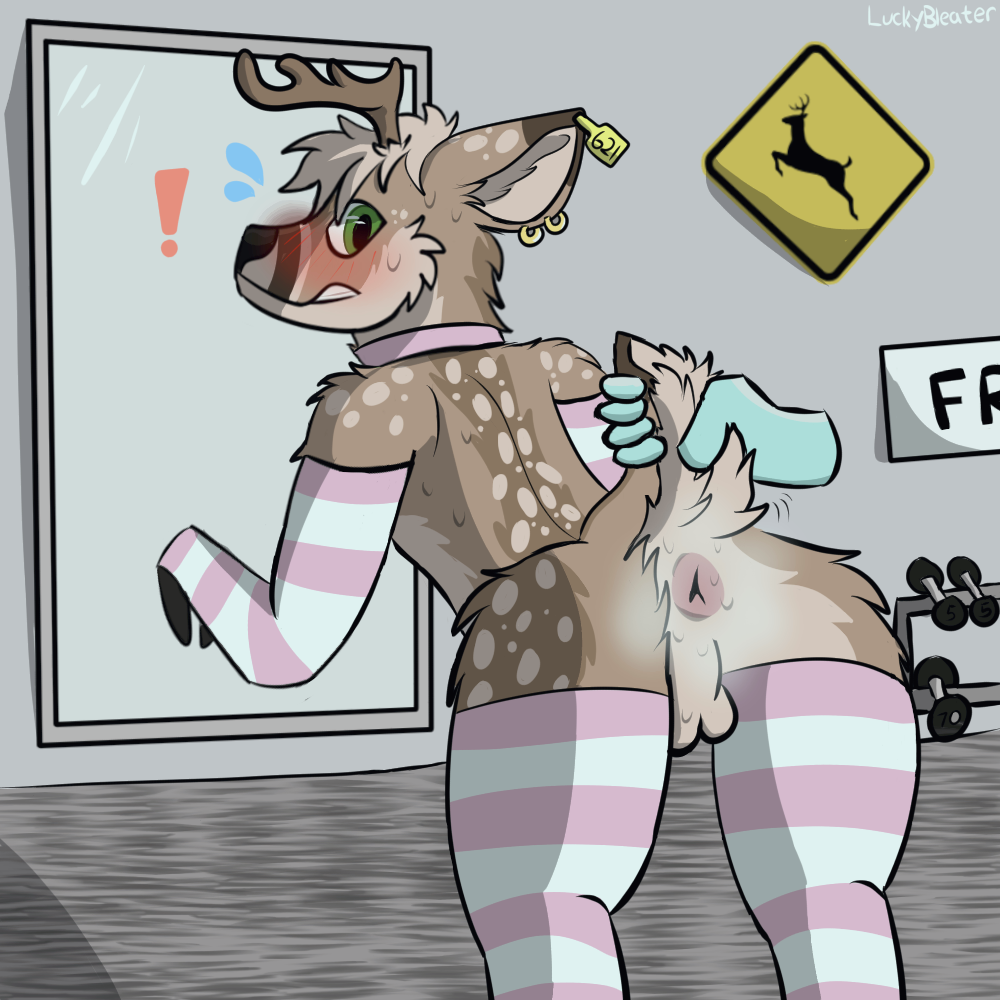 1:1 Rule 34 Image