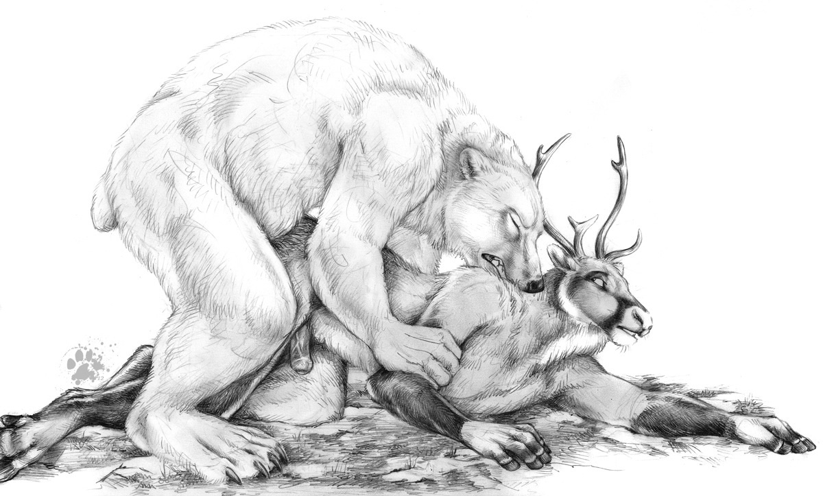 Anal Rule 34 Image