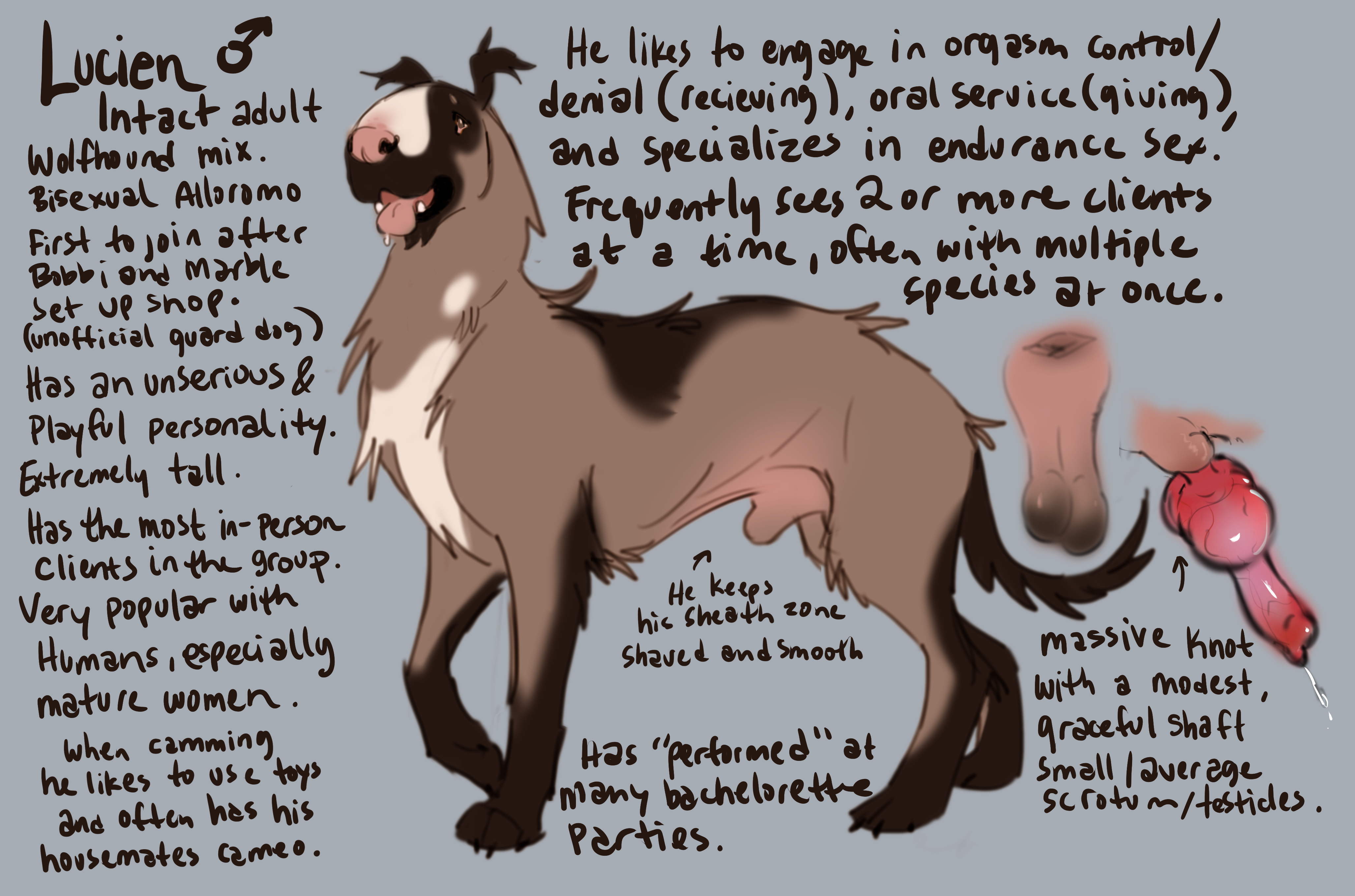 Lucien (Feelferal) Rule 34 Image