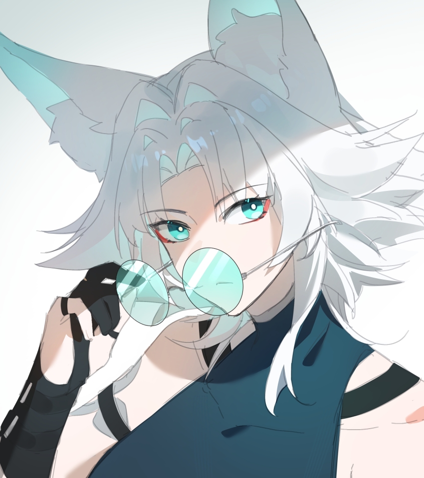 Feixiao (Honkai: Star Rail) Rule 34 Image