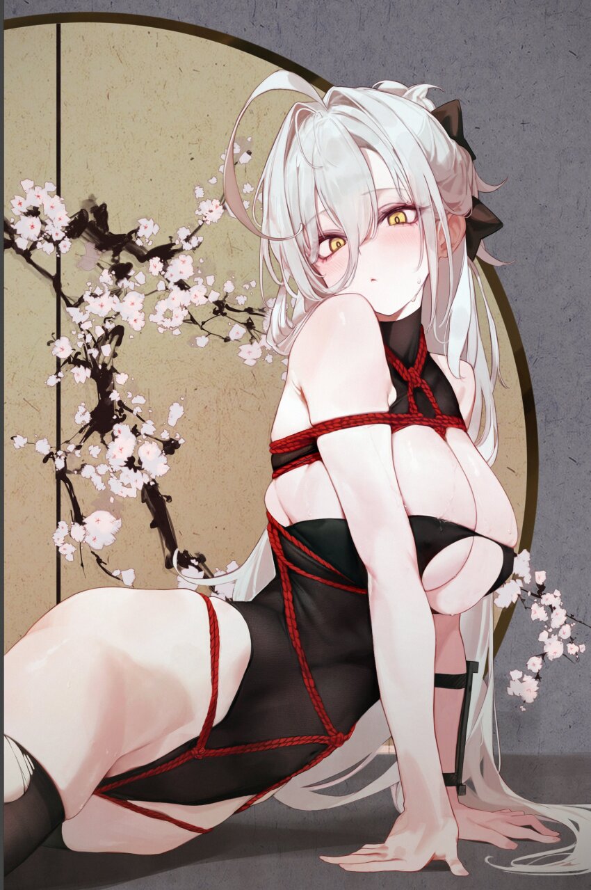 Hakuhou (Azur Lane) Rule 34 Image