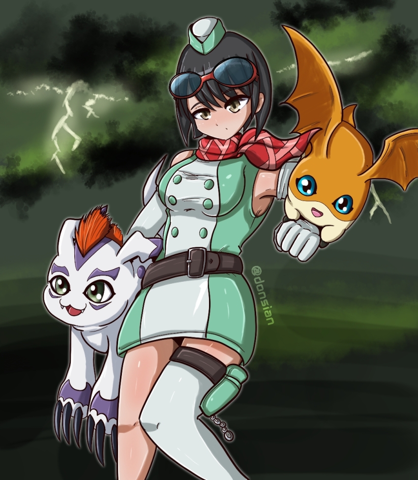 Gomamon (Digimon) Rule 34 Image
