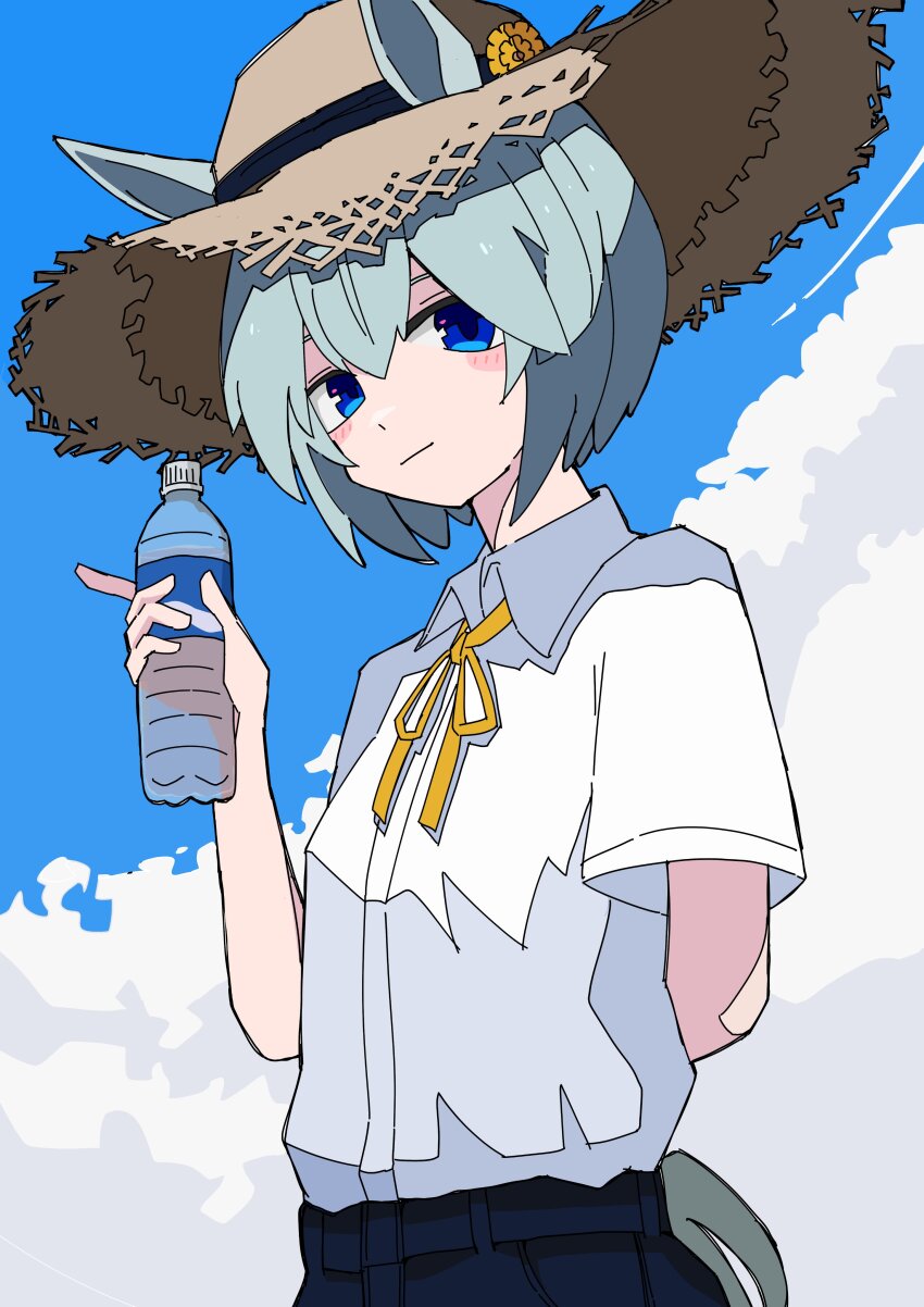 Seiun Sky (Umamusume) Rule 34 Image