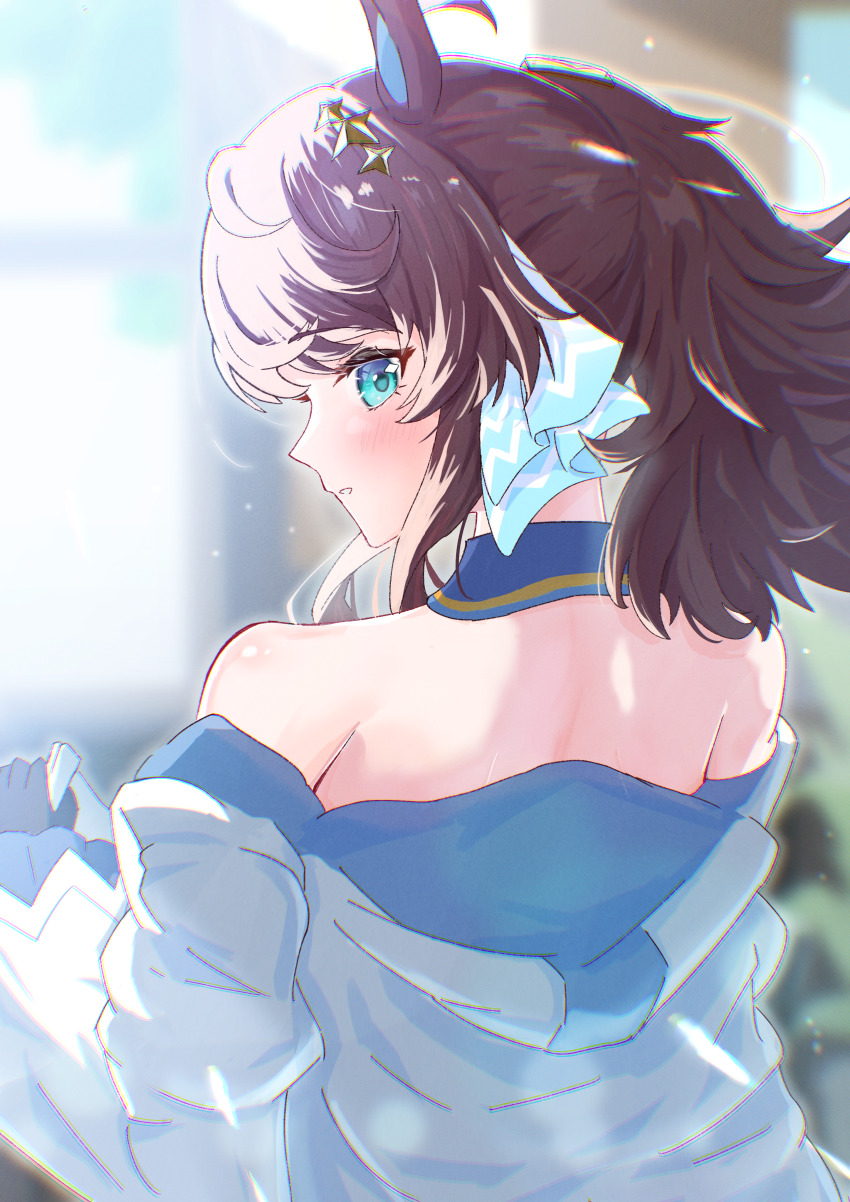 Daring Tact (Umamusume) Rule 34 Image
