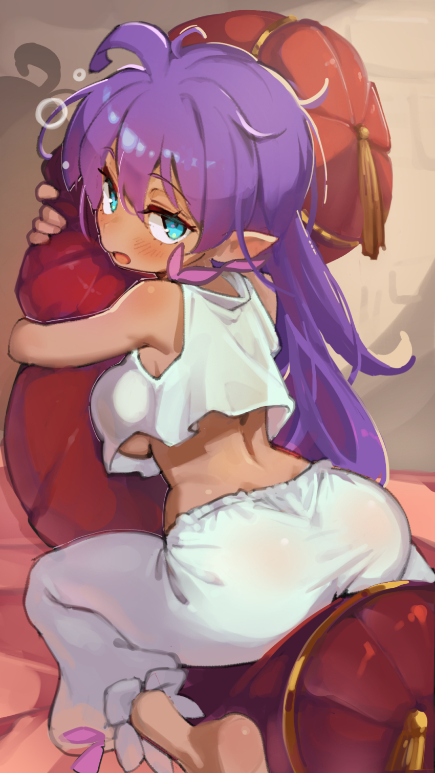 Shantae Rule 34 Image