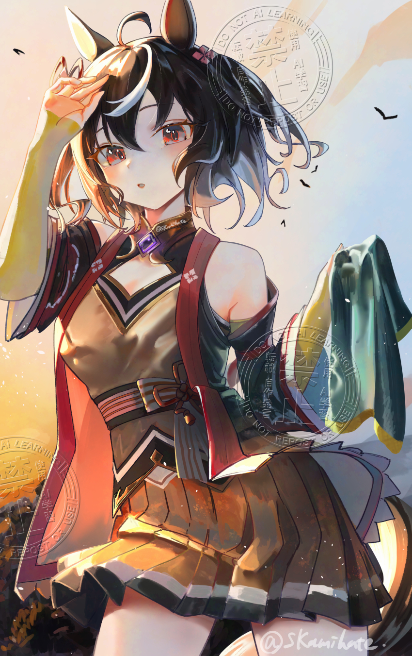 Kitasan Black (Umamusume) Rule 34 Image