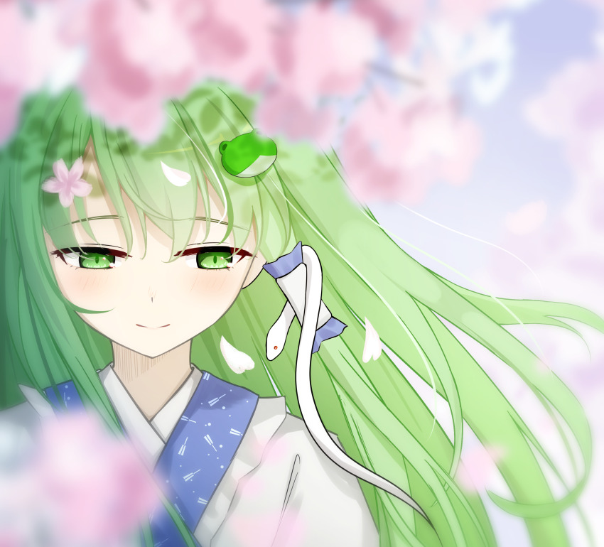 Kochiya Sanae (Touhou) Rule 34 Image