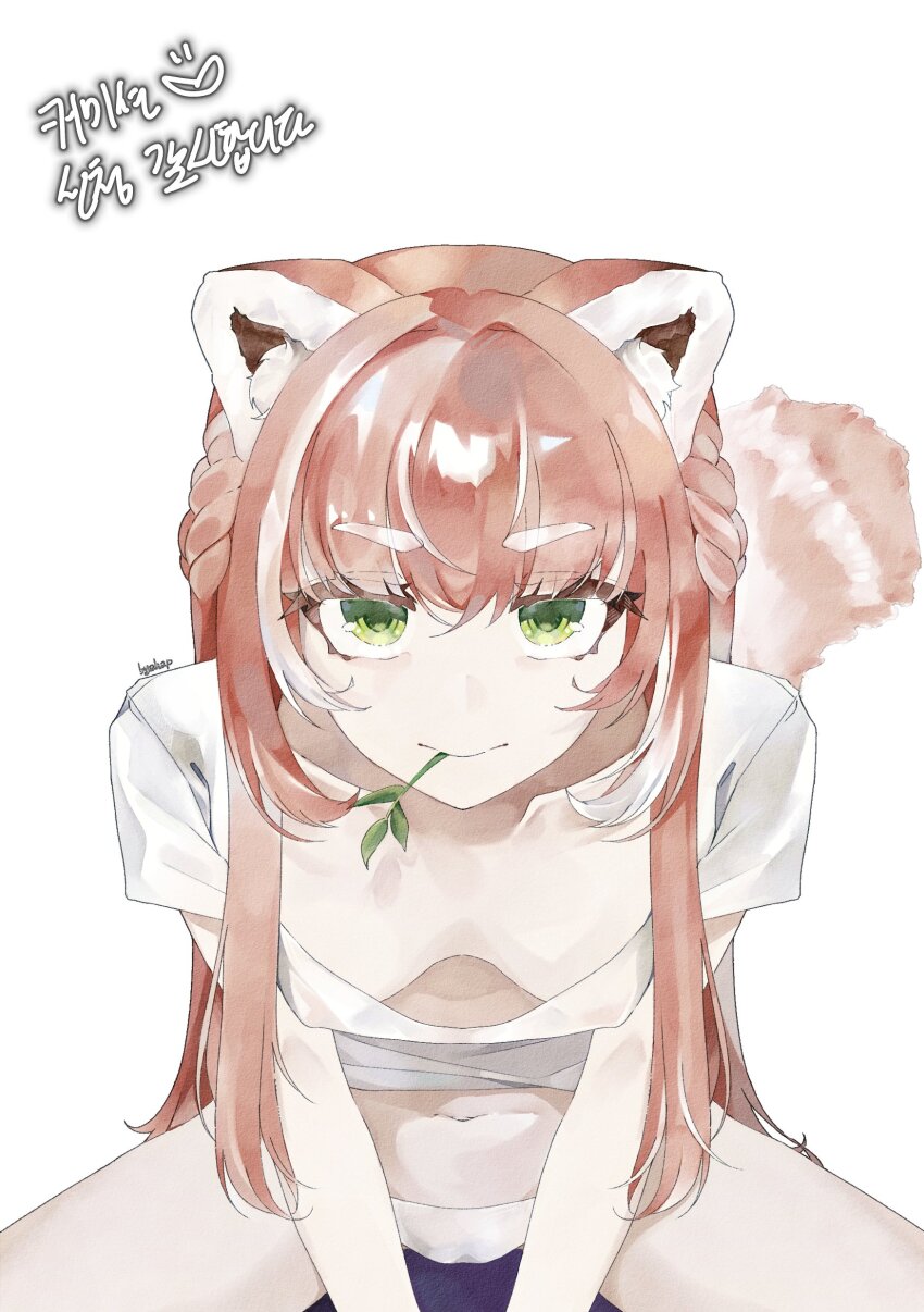Yuria Of Ailurus (Indie Virtual Youtuber) Rule 34 Image