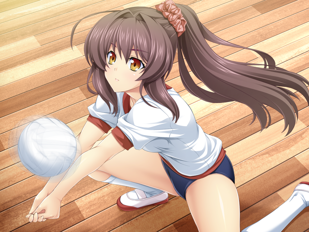 Katsuragi Marina (Kouyoku Senki Exs-Tia) Rule 34 Image
