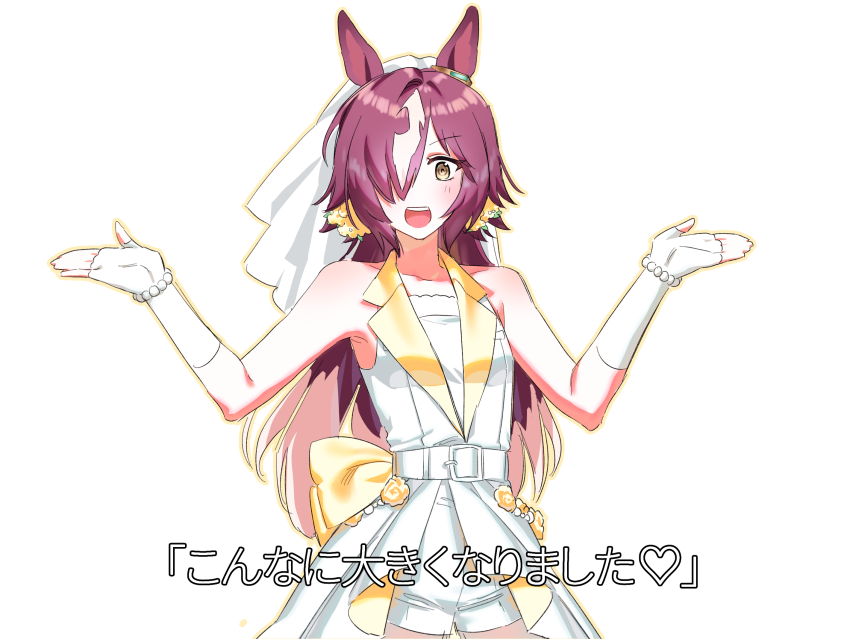 Vodka (Umamusume) Rule 34 Image