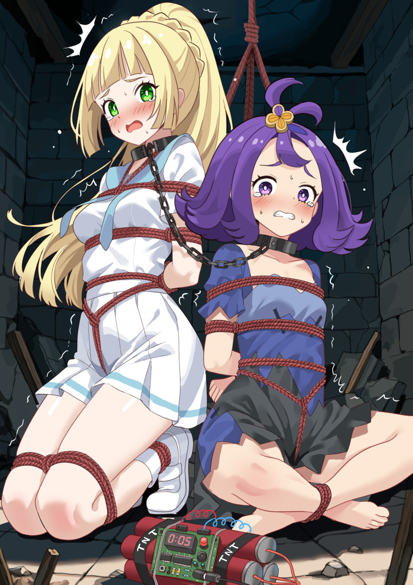 Acerola (Pokemon) Rule 34 Image