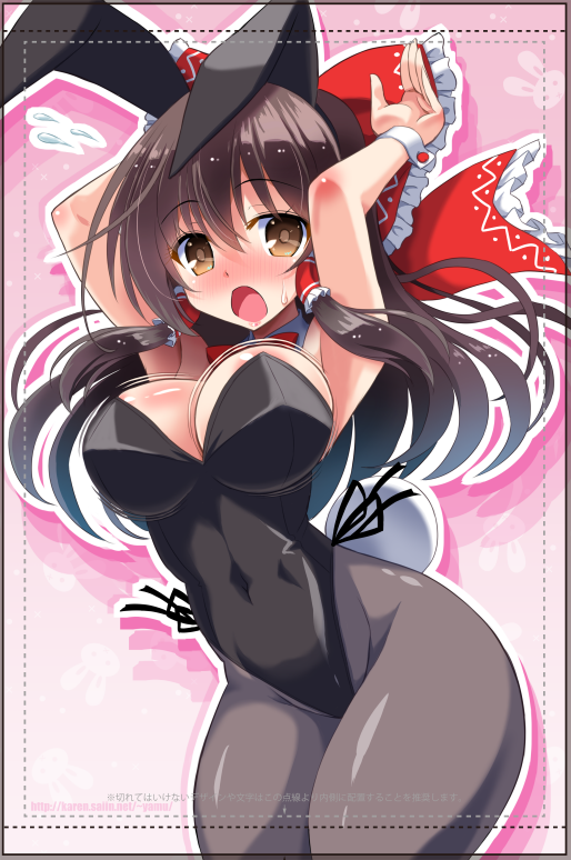 Hakurei Reimu (Touhou) Rule 34 Image