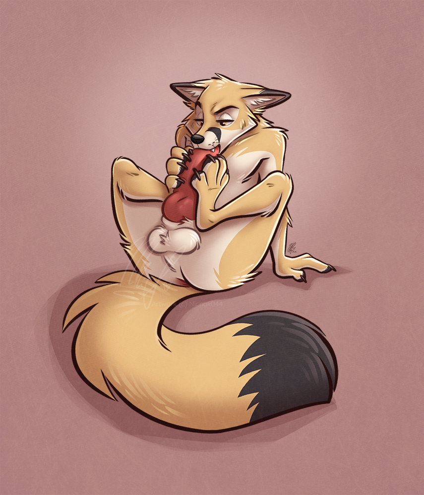 Animal Genitalia Rule 34 Image