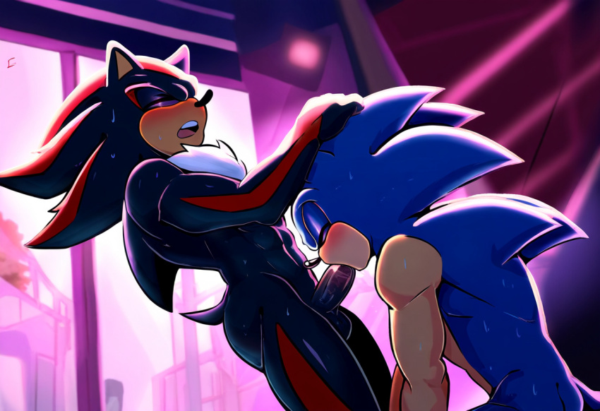 Shadow The Hedgehog (Sega) Rule 34 Image