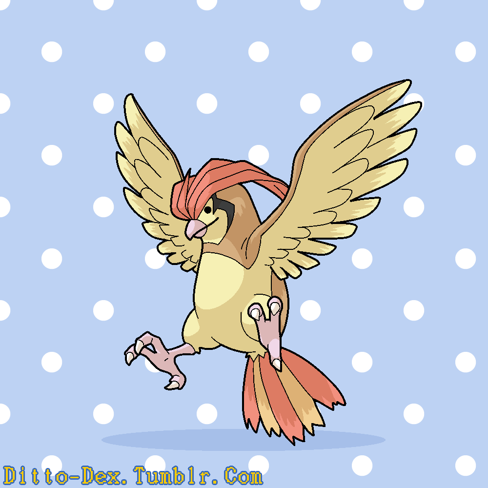 Ditto (Nintendo) Rule 34 Image