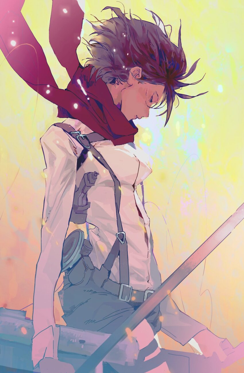 Mikasa Ackerman (Shingeki No Kyojin) Rule 34 Image