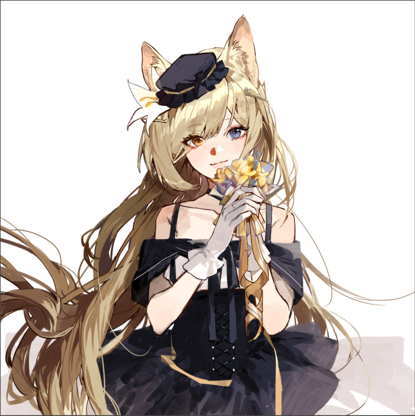 Arknights Rule 34 Image