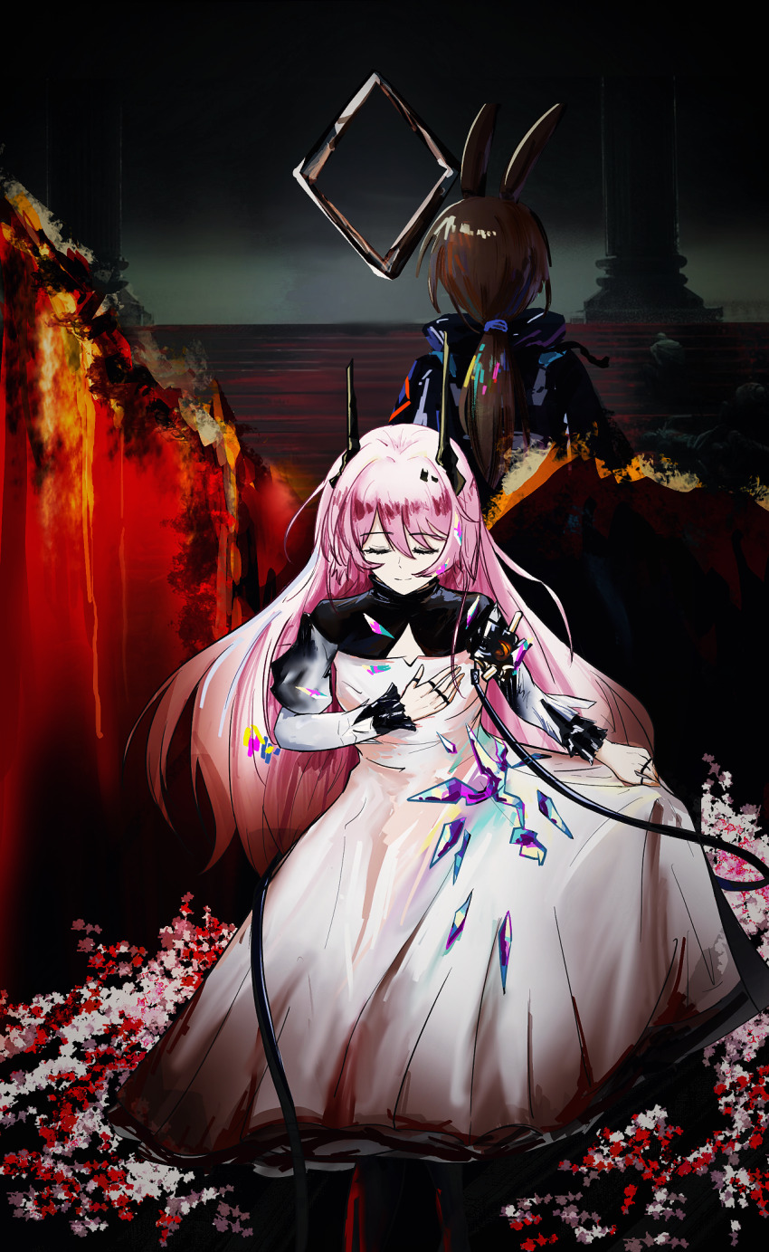 Amiya (Arknights) Rule 34 Image
