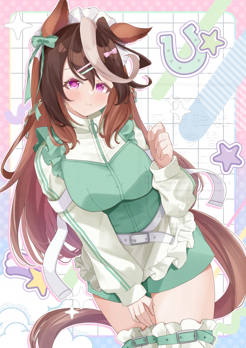 Symboli Rudolf (Umamusume) Rule 34 Image