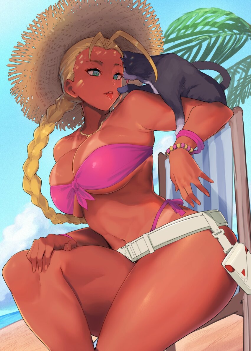 Cammy White (Street Fighter) Rule 34 Image