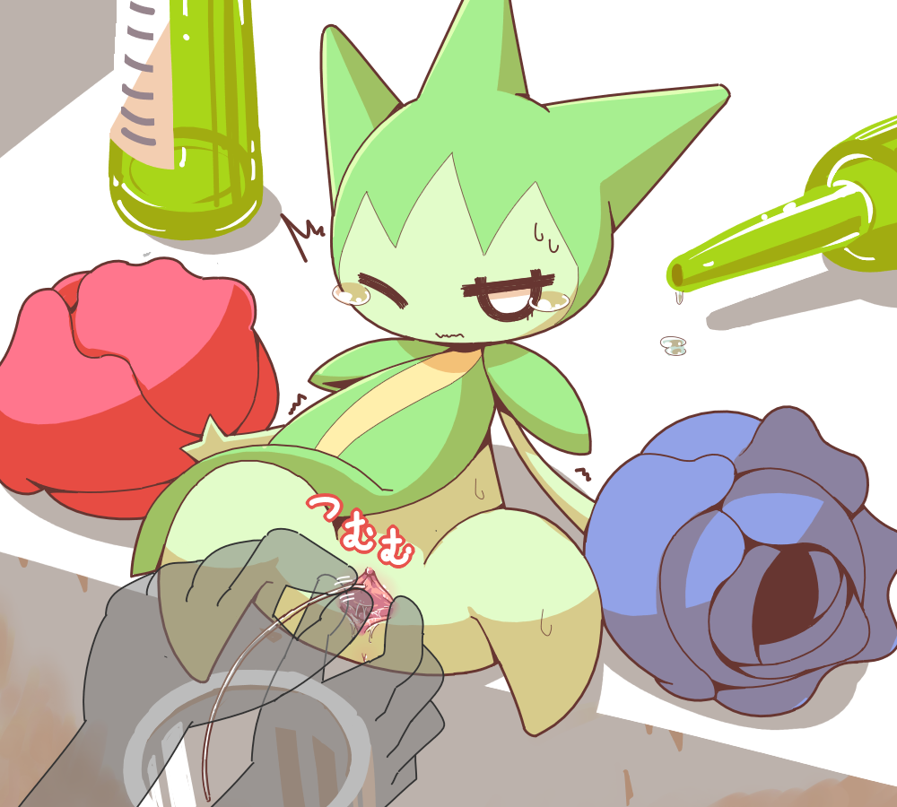 Gen 3 Pokemon (Nintendo) Rule 34 Image