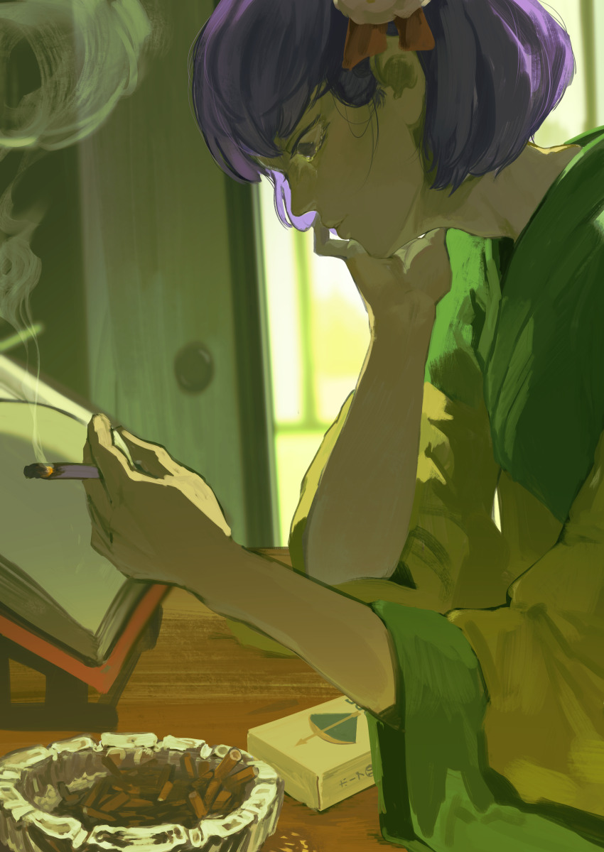 Hieda No Akyuu (Touhou) Rule 34 Image