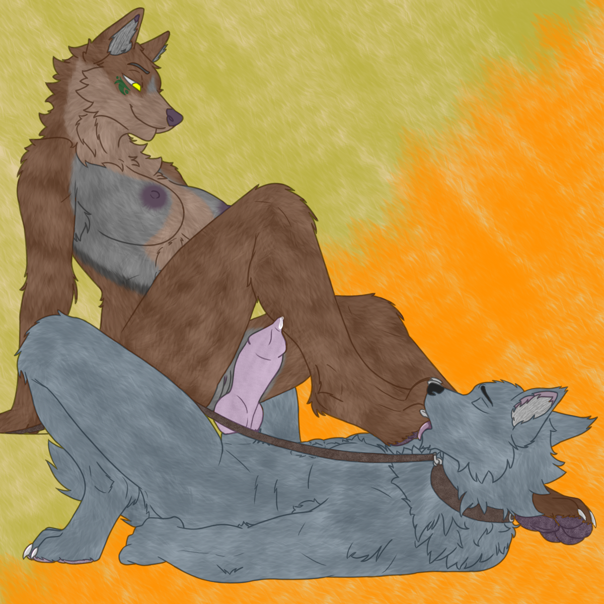 Animal Genitalia Rule 34 Image