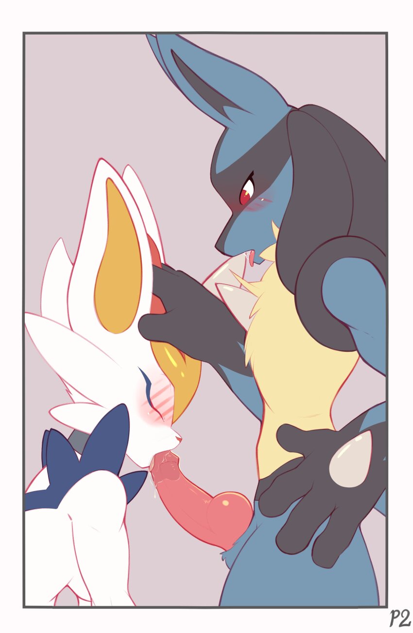 Cinderace (Nintendo) Rule 34 Image