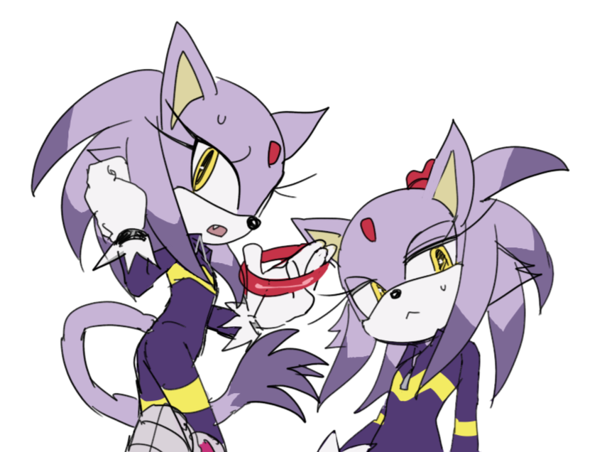 Blaze The Cat (Sonic (Series)) Rule 34 Image