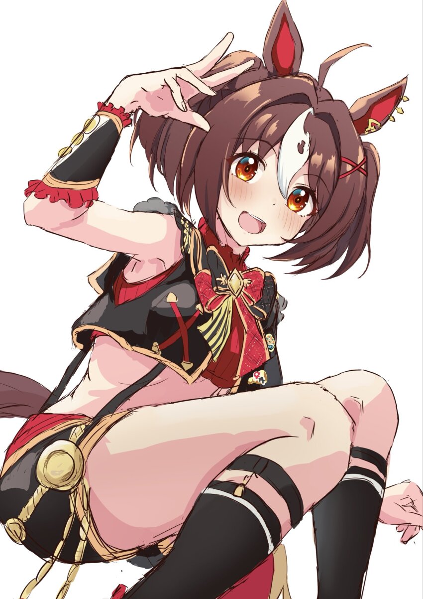 Gran Alegria (Umamusume) Rule 34 Image