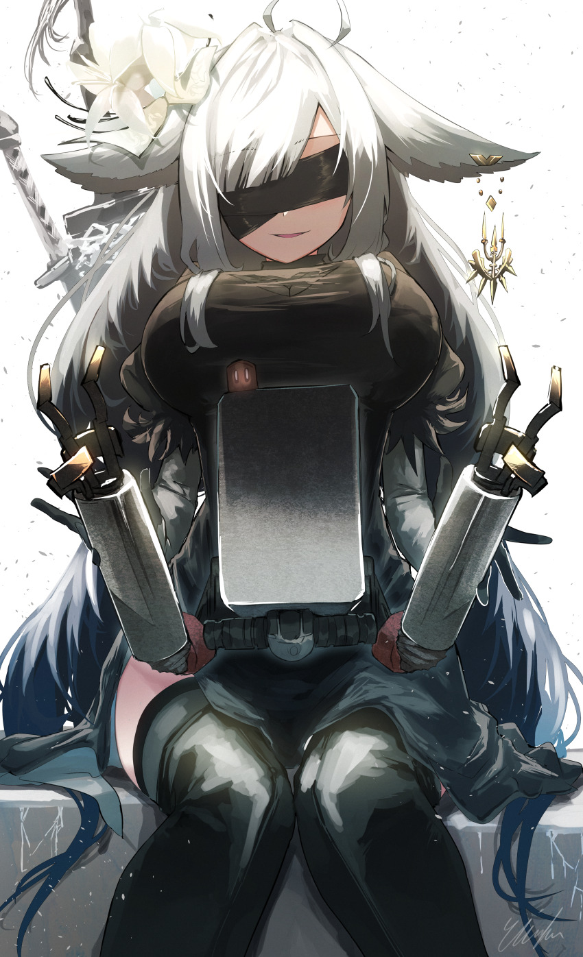 Nier (Series) Rule 34 Image